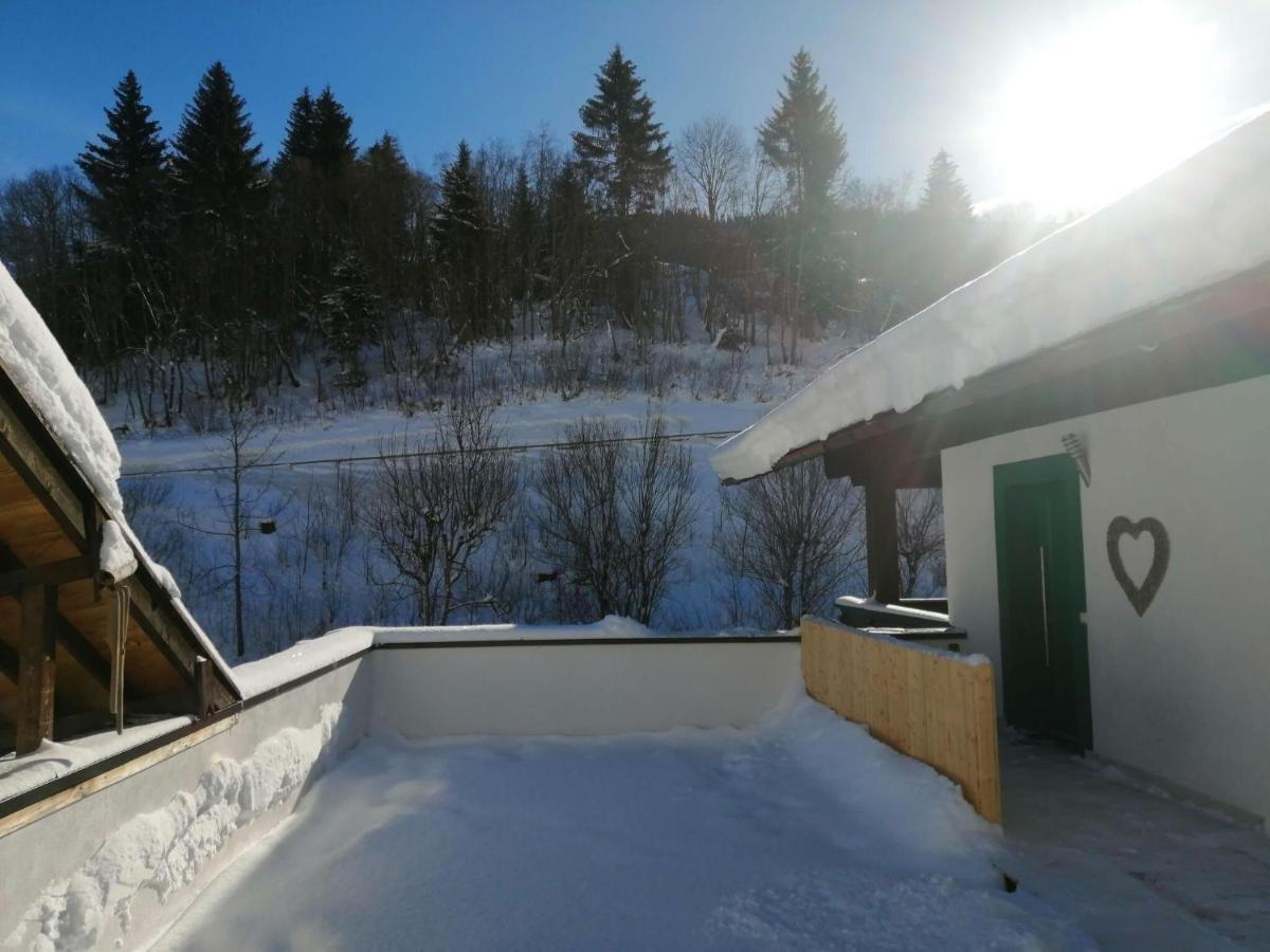Apartment In Dienten With Mountain Views Dienten am Hochkönig エクステリア 写真