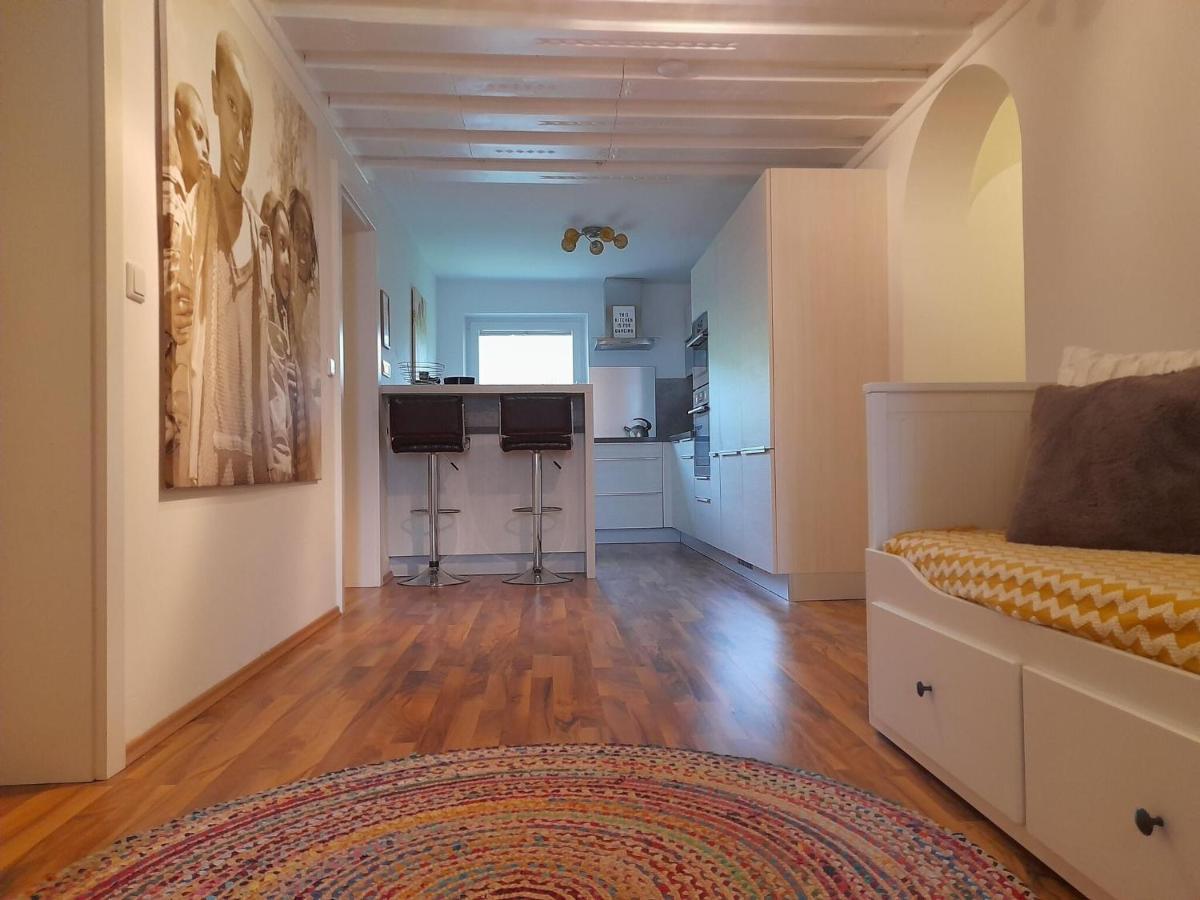 Apartment In Dienten With Mountain Views Dienten am Hochkönig エクステリア 写真